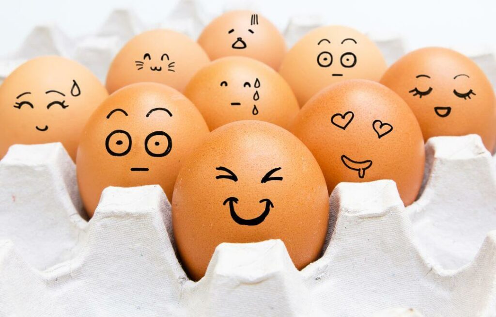 Apa Itu Emosi dan Jenis jenisnya